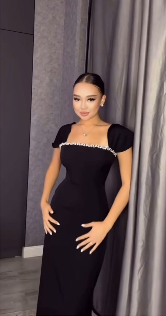 Bianca Embellished Dress (black)